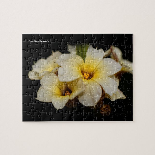 Elegant Yellow Floral Satin Flowers on Black Jigsaw Puzzle (Horizontal)