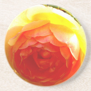 Elegant yellow peach red apricot floral rose coaster