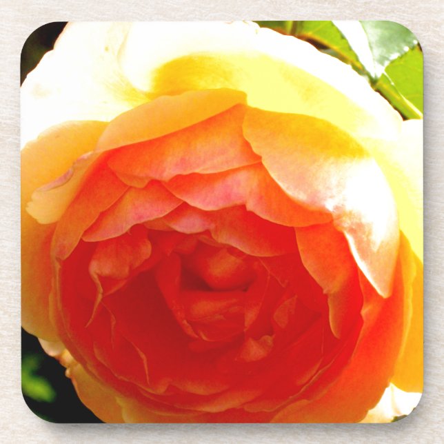 Elegant yellow peach red apricot floral rose coaster (Front)