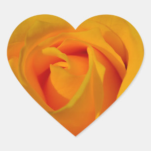 Elegant Yellow Rose photo Heart Sticker