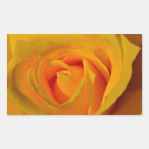 Elegant Yellow Rose photo Rectangular Sticker