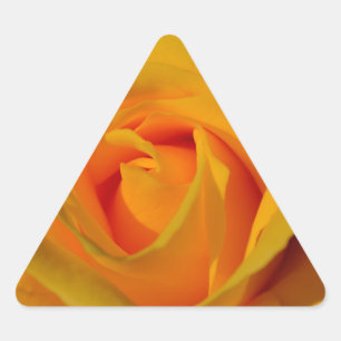 Elegant Yellow Rose photo Triangle Sticker