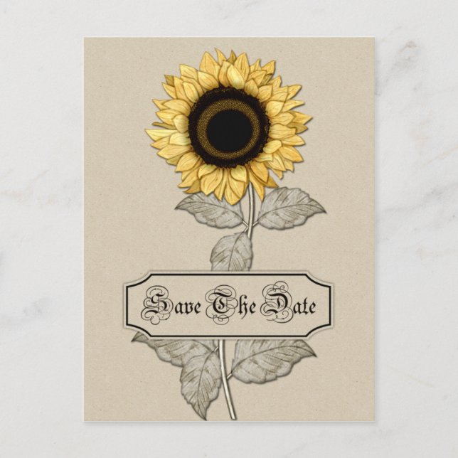 Elegant Yellow Sunflower Tan Background  Save The  Announcement Postcard (Front)