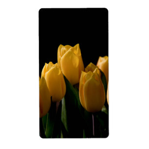 Elegant yellow tulips