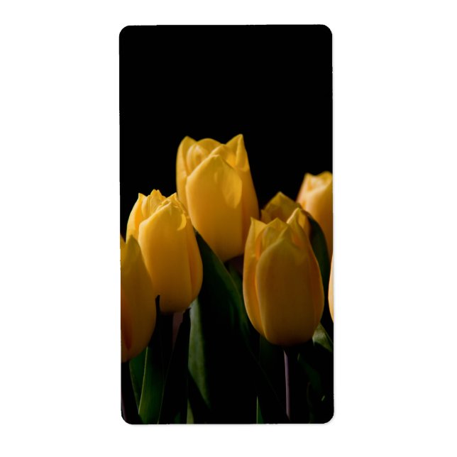Elegant yellow tulips (Front)