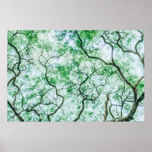 Elegant yet Spooky Leaves and Branches Poster