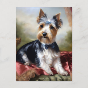 Elegant  Yorkshire Terrier Beauty Postcard