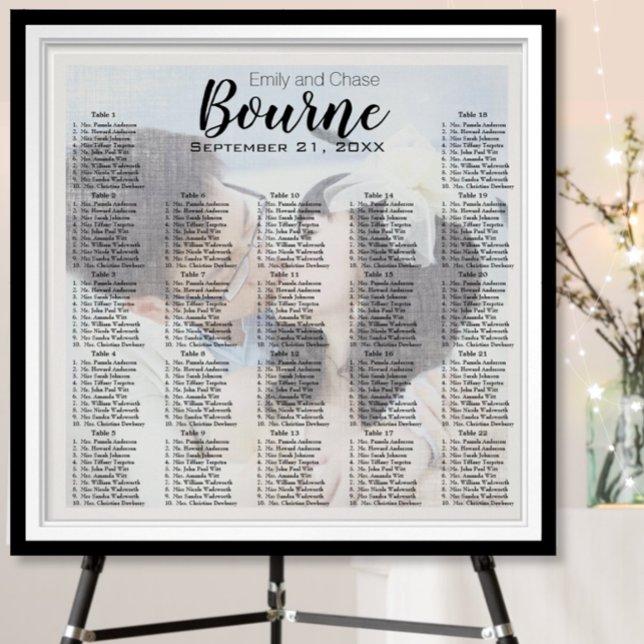 Elegant Your Photo Here Wedding Seating Chart (To view pricing for frames and mats, choose your options please.)
