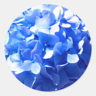 ElegantCobalt blue floral elegant hydrangeas  Classic Round Sticker