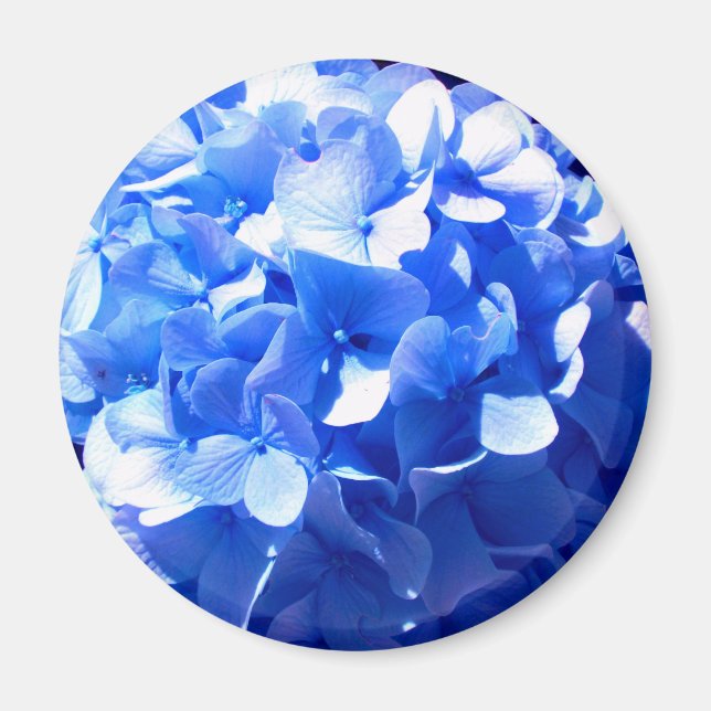 ElegantCobalt blue floral elegant hydrangeas  Magnet (Front)