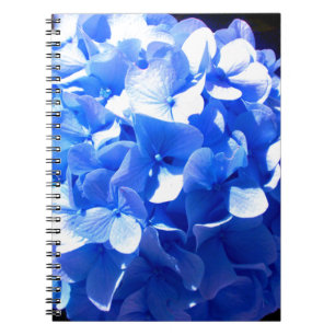 ElegantCobalt blue floral elegant hydrangeas  Notebook