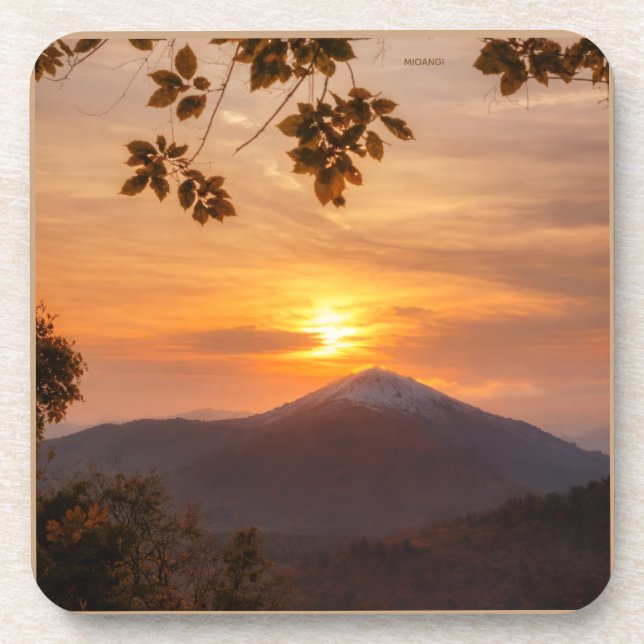 elegante  coaster (Front)