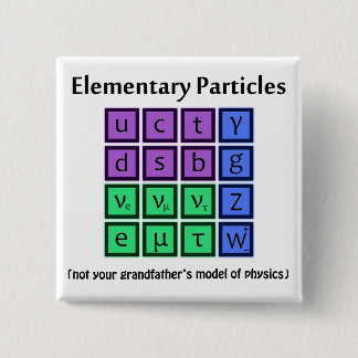 Elementary Particle Physics Button