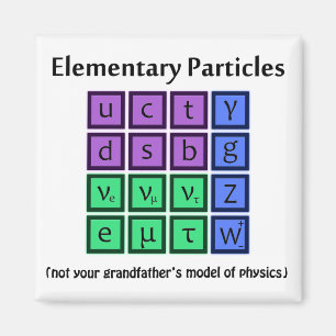 Elementary Particle Physics Magnet