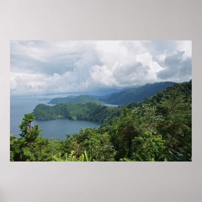 elements of paradise poster (Front)