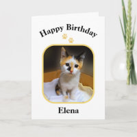 Elena Calico Kitten Happy Birthday