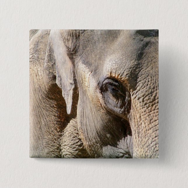 ELEPHANT 15 CM SQUARE BADGE (Front)