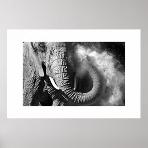 Elephant #1 poster