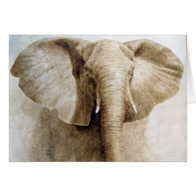 Elephant 2004 (Front Horizontal)