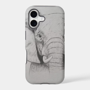 Elephant 2011