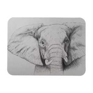 Elephant 2011 magnet