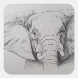 Elephant 2011 square sticker