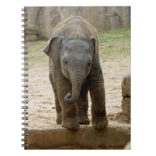 Elephant_20171101_by_JAMFoto Notebook