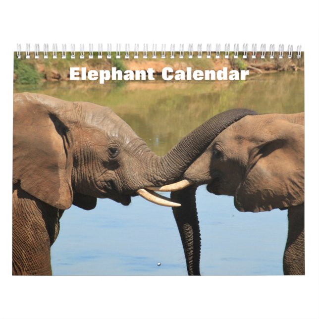 Elephant 2026  calendar (Cover)