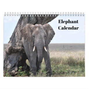 Elephant 2027 calendar