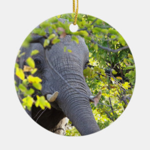 ELEPHANT AMONG THE GREEN LEAVES Ornament