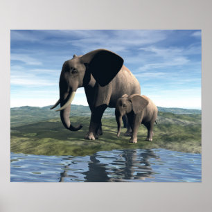 Elephant and Baby Poster