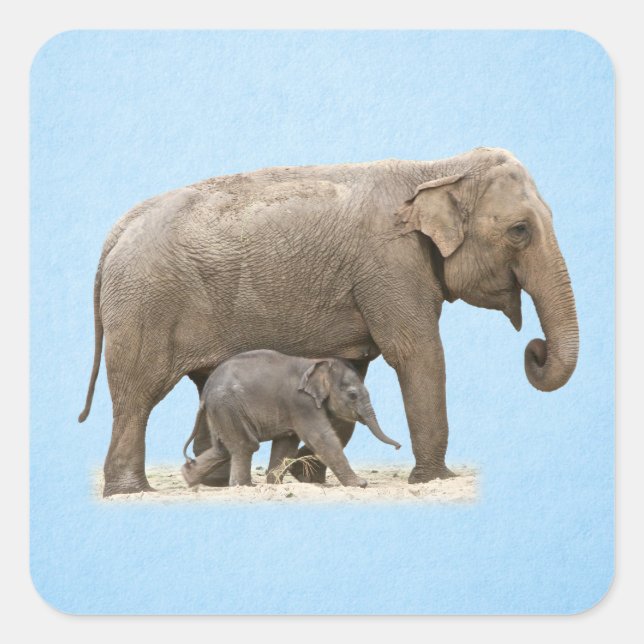 Elephant and baby square sticker (Front)