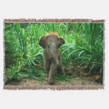 Elephant and Grass