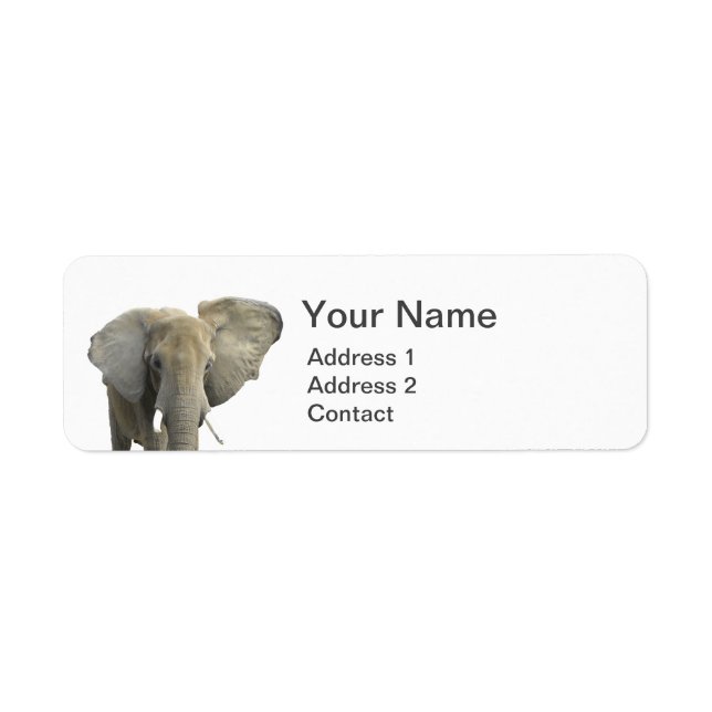 Elephant Animal Photo Return Address Label (Front)