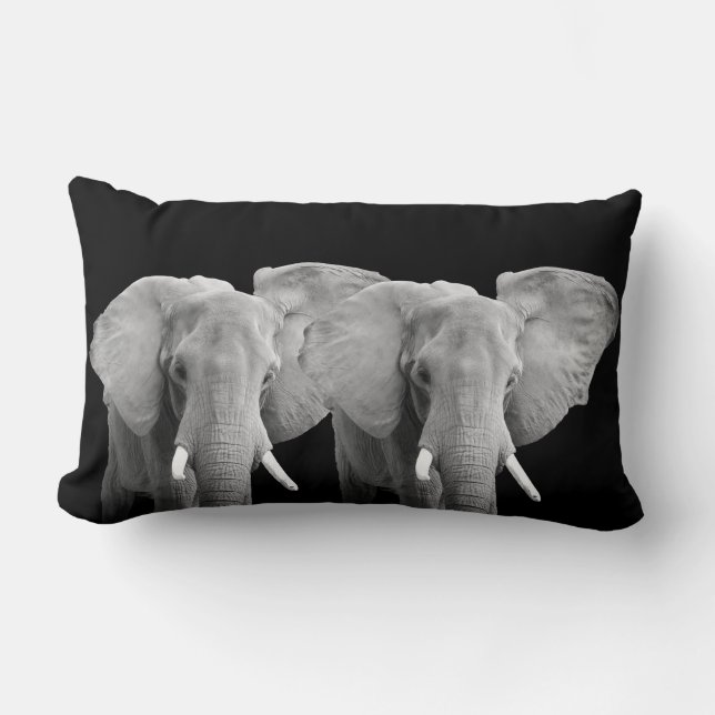 Elephant Animal Photos on Black Background Lumbar Cushion (Front)