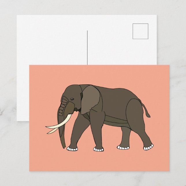 Elephant Animal Postcard (Front/Back)