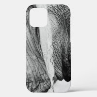 Elephant animal wildlife skin