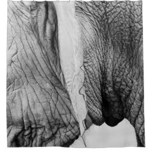 Elephant animal wildlife skin shower curtain