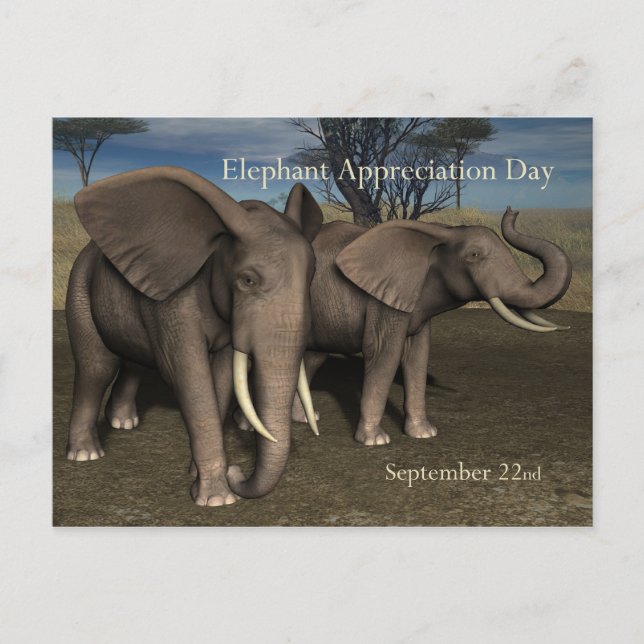 Elephant Appreciation Day PostCard September 22 (Front)