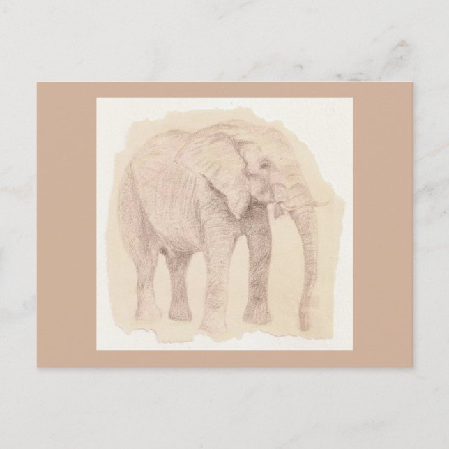 Elephant Art Sketch Postcard (Front)