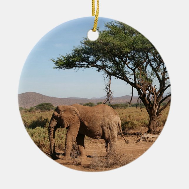 Elephant at Samburu National Reserve Ceramic Tree Decoration (Front)