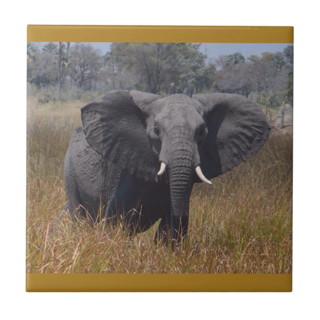 Elephant Aware, Kenya. Ceramic Tile (Front)