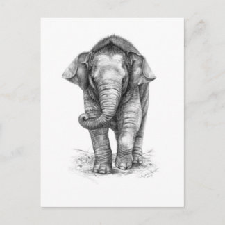 Elephant Baby design by Schukina G046 Postcard