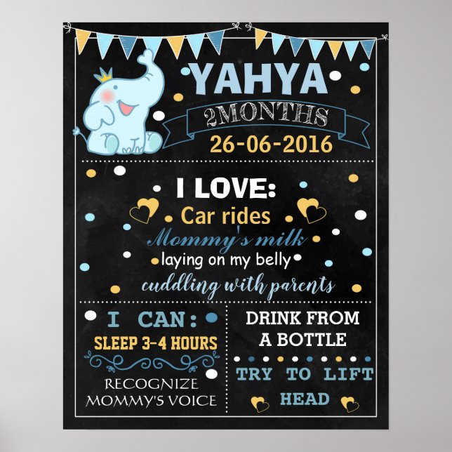 Elephant Baby Monthly chalkboard sign poster (Front)