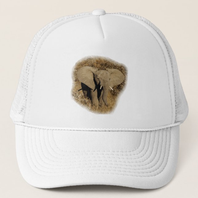 Elephant baby safari hats & peak caps (Front)
