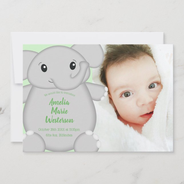Elephant Baby Shower Safari Invitation (Front)