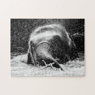 Elephant Bathing Time, Jigsaw Puzzle