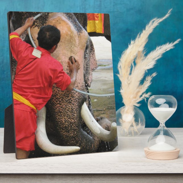 Elephant Bathtime ... Ayutthaya, Thailand Plaque (Side)