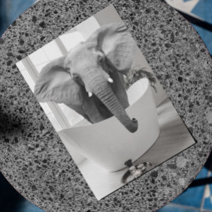 Elephant Bathtub Black White Bathroom art Postcard