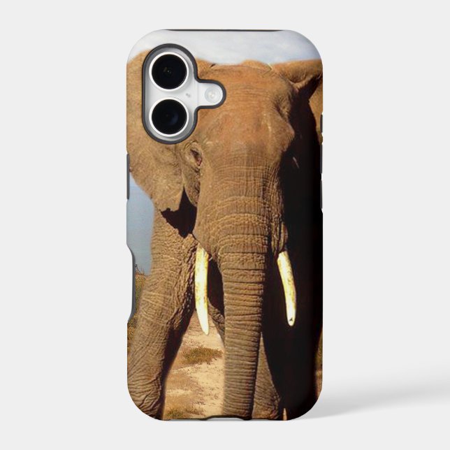 Elephant Beach Day Outing, (Back)